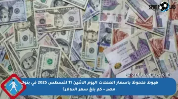 هبوط ملحوظ بأسعار العملات اليوم الاثنين 11 أغسطس 2025 في بنوك مصر – كم بلغ سعر الدولار؟